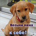 Мері Навасардова фотография #6 (источник - https://vk.com/id156208266)