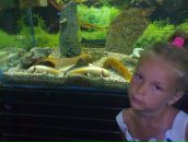 Світлана Шумчук фотография #4 (источник - https://vk.com/id104382140)