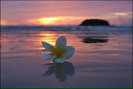 Фотография Ивановой Оленьки