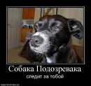 Володя Дзіба фотография #5 (источник - https://vk.com/id26633107)