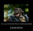 Валік Гевко фотография #6 (источник - https://vk.com/id103959888)