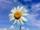 Фотография Тереховой Ольги