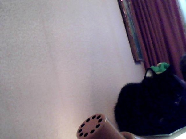 Ноча Ноча фото №1