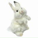 Дима Петренко фотография #5 (источник - https://vk.com/id102480375)