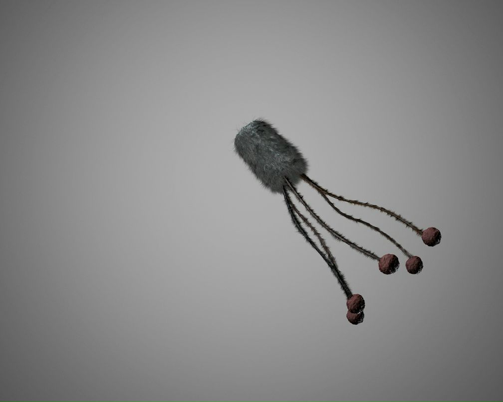 Макс Ткаченко фотография #48