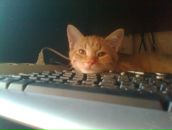 Фотография Старикоff Димы