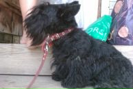 Дарья Ильина фотография #42 (источник - https://vk.com/id679028)