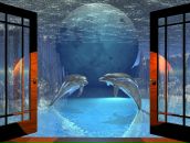 Сергей Черников фотография #37 (источник - https://vk.com/id247156)