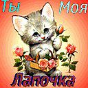 Віталій Панасюк фотография #5 (источник - https://vk.com/id89013048)