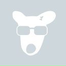 Фотография Kuznetsov Denis