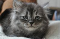 Фотография Карплюк Татьяны