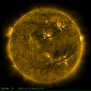 Фотография Боярова Александра