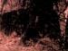 Місько Юринець фотография #39 (источник - https://vk.com/id136224879)