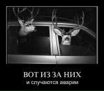 Юрій Солига фотография #49 (источник - https://vk.com/id135905448)