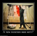 Андрій Громич фотография #13 (источник - https://vk.com/id13720936)
