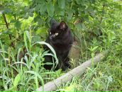 Фотография Алтухов Владимир