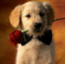 Аліна Кашпур фотография #45 (источник - https://vk.com/id153190856)