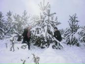 Олена Зінько фотография #11 (источник - https://vk.com/id61321364)