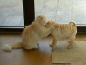 Фотография Дидук Алёны