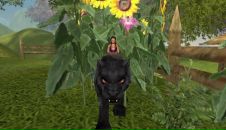 Фотография Крылов Максим