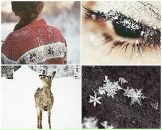 Фотография Струниной Наташи