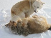 Фотография Филимоновой Ольги