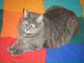 Фотография Богдановой Светланы