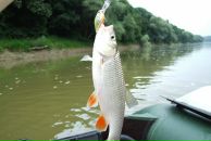 Славік Кухарський фотография #33 (источник - https://vk.com/id83026840)