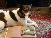 Вероніка Попозогло фотография #13 (источник - https://vk.com/id74244264)