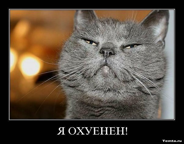 №19, Артём Котляревский, 37 лет, Одинцово №19, Артём Котляревский, 37 лет, Одинцово