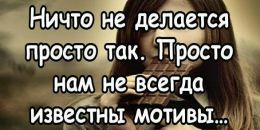 Едік Янковський фотография #27 (источник - https://vk.com/id50538954)