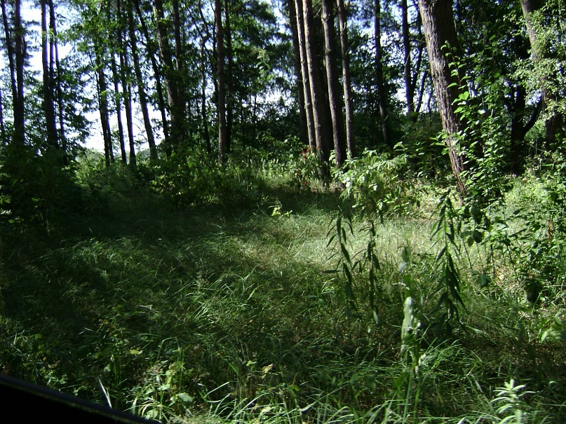 Алексей Мойсенко фотография #41