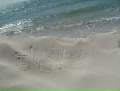 Ірина Боднарчук-Пастух фотография #12 (источник - https://vk.com/id60134923)