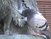 Фотография Капшуковой Майи