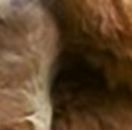 Надія Кобльовська фотография #17 (источник - https://vk.com/id150836180)