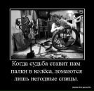 Наталія Овсійчук фотография #38 (источник - https://vk.com/id49416110)