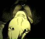 Фотография Мирошниковой Екатерины