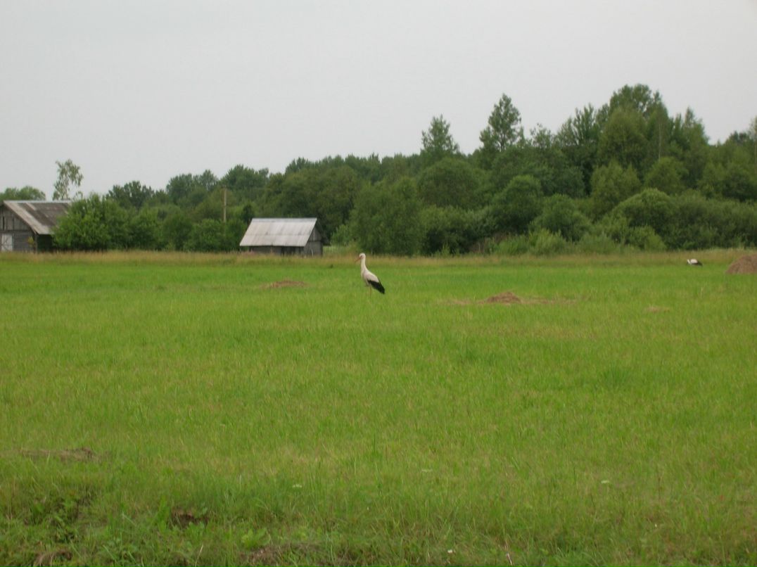 Антон Кропачев фотография #20