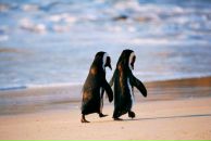 Фотография Еверзов Олег