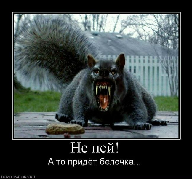 Валентин Китов фото №3