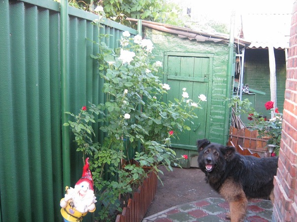 Рит@ С@идов@ фото №24
