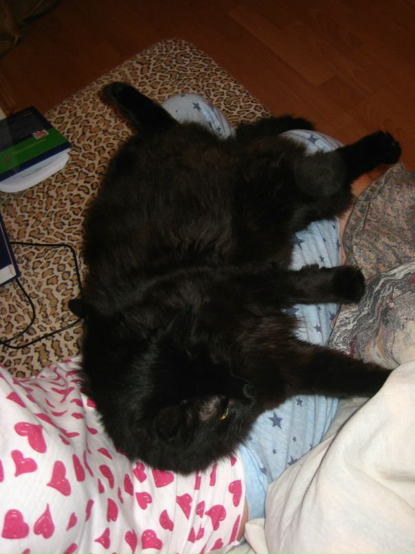 Оля М фотография #8