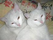 Фотография Ивлиевой Елены