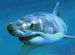  фотография #3