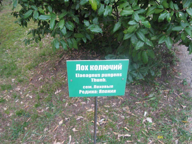 Evgen Евген фотография #40