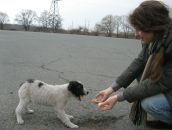 Фотография Дрейцер Марины