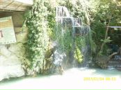 Mehmet Ali фотография #15 (источник - https://vk.com/id137820189)