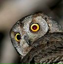 Фотография Косицыной Анастасии