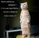 Ірина Демешкіна фотография #43 (источник - https://vk.com/id60720086)