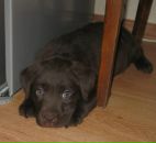 Фотография Засмолиной Натальи